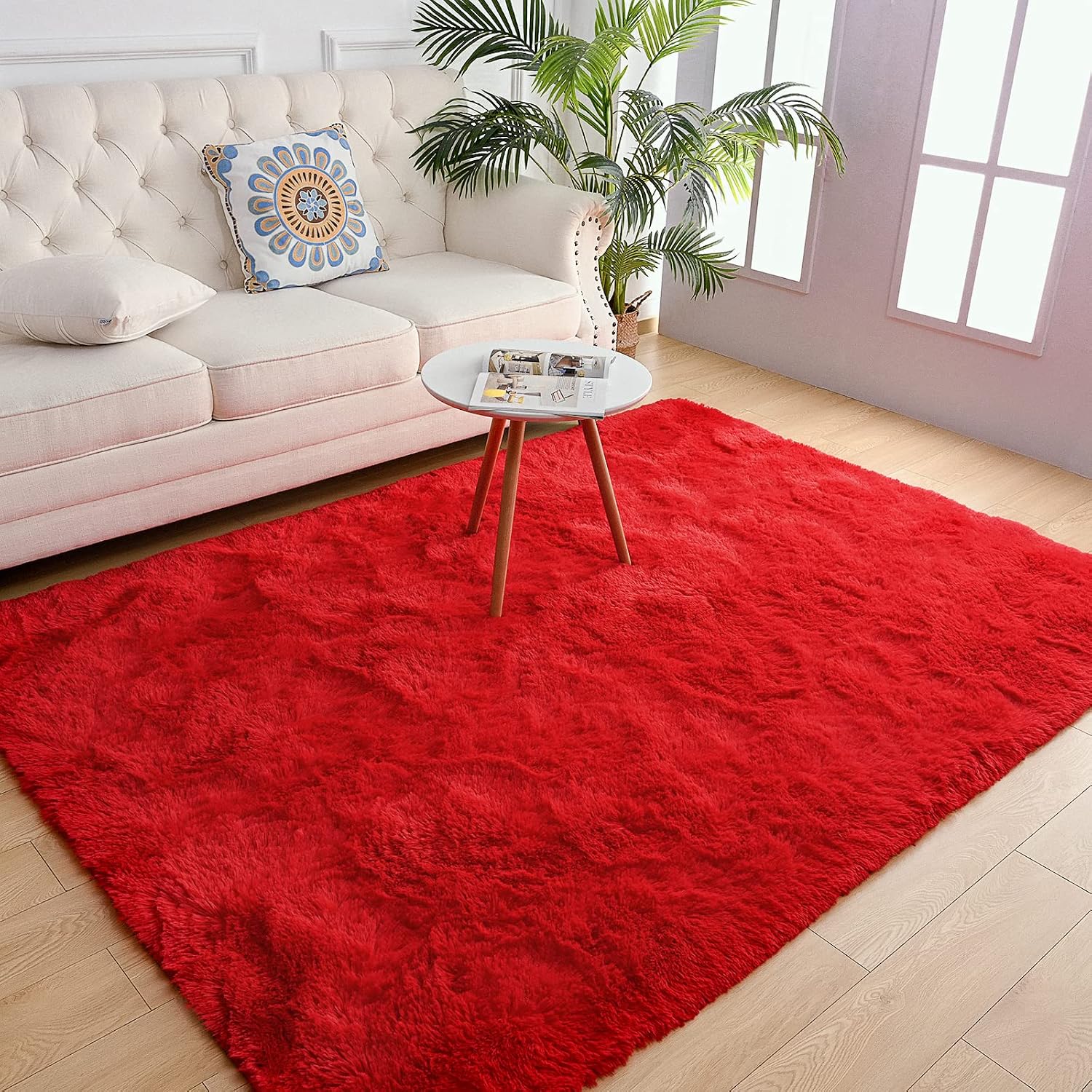 Red Plush Shag Area Rug